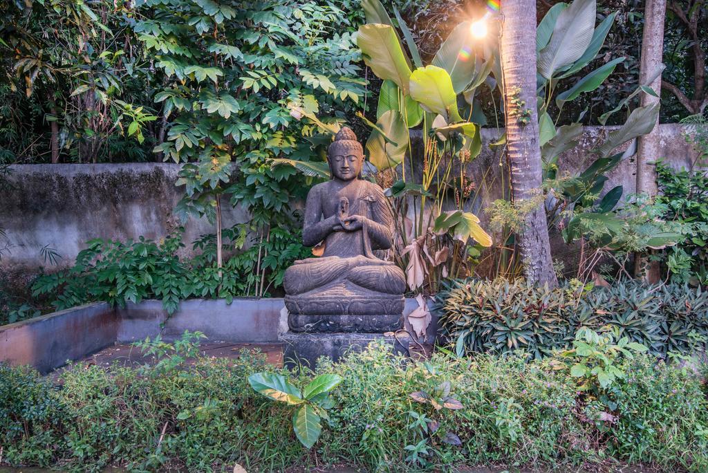 Stunning Villa Lily โลวินา ภายนอก รูปภาพ